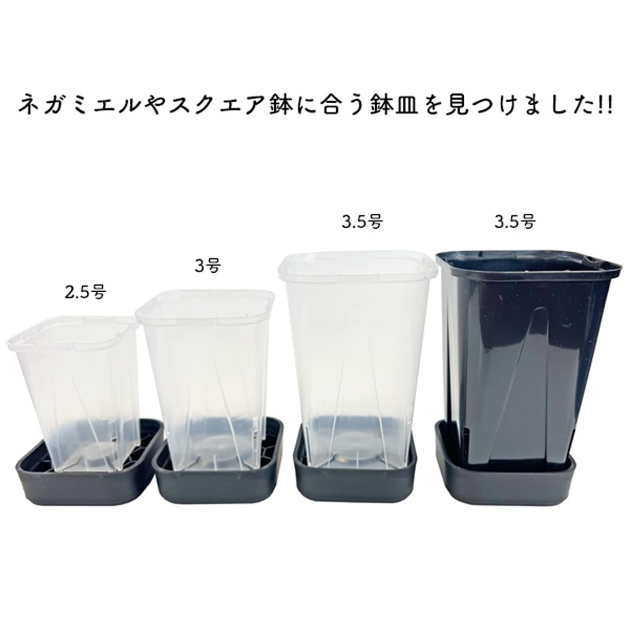 Amazon.co.jp: プレステラプレート90 ブラック 6個セット スクエア型